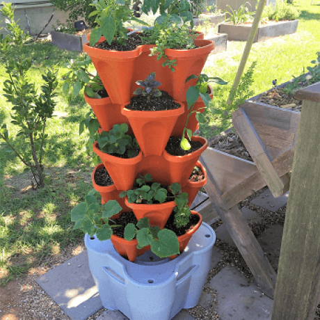 smart farm – herbs2 – resized smart farm - herbs2 - resized
